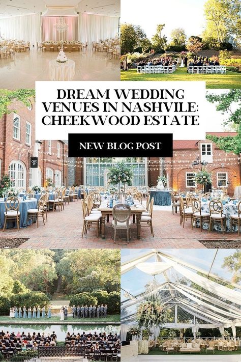 Historic and beautiful, the Cheekwood Estate and Gardens had to make an appearance on my top 5 dream Nashville wedding venues. So many different locations on the grounds for photos, the ceremony, and the reception - each more stunning than the next! Check it out on the blog now. Wedding Engagement Party Ideas, Cheekwood Wedding, Daisy Photo, Wedding Ring Photos, Small Wedding Decor, Katie Daisy, Groomsmen Tuxedos, Wedding Detail Shots, Bridal Party Getting Ready