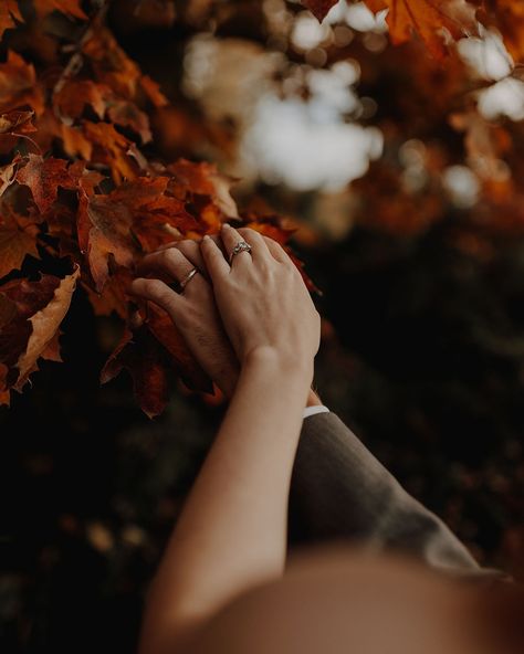 Fall wedding photos are just 😍🍂🍁 . . . . . #utahphotographer #utahweddingphotographer #utahengagementphotographer #utahelopementphotographer #utahphotography Fall Wedding Details Photography, Fall Wedding Photos, Details Photography, Wedding Details Photography, Utah Photography, Minimal Wedding, Utah Wedding Photographers, Engagement Photographer, Elopement Photographer