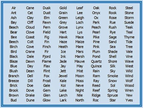 "One Syllable Nature Word Names - Colt, Sage & Onyx" from the blog Baby Name Pondering #babynames Three Syllable Boy Names, One Syllable Girl Names, One Syllable Boy Names, Word Names, One Syllable Names, Nature Names, Traditional Baby Names, Unisex Baby Names, Nature Words