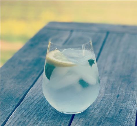 Lemon Basil Vodka Tonic, Mixology Drinks, Vodka Tonic, Lemon Basil, Red Hill, Basil Leaves, Tonic Water, Lemon Slice, Mixology