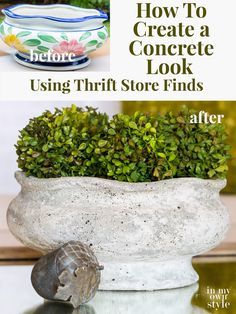 Concrete Spray Paint, Stucco Patch, Old World Pottery, Diy Painted Vases, Fake Pumpkins, Diy Concrete Planters, Fleurs Diy, Concrete Diy Projects, Concrete Finish