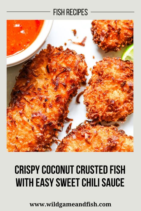 Coconut Crusted Fish with Easy Sweet Chili Sauce Coconut Crusted Halibut, Coconut Fish Recipes, Crusted Fish Recipes, Paddlefish Recipe, Coconut Crusted Fish, Fried Fish Recipe, Sweet Chili Sauce Recipe, Crusted Fish, Goose Recipes