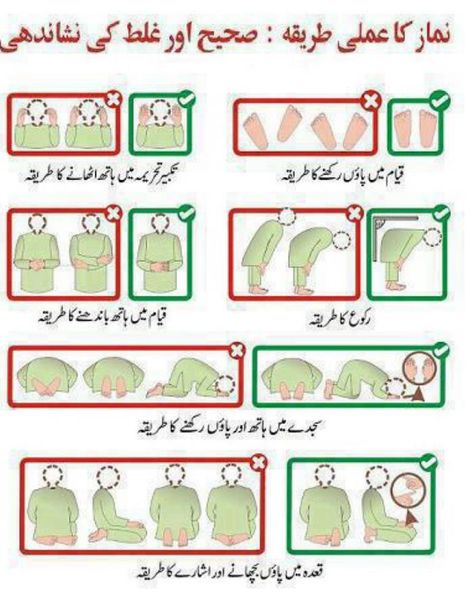 Illustration of how to pray (Sholat) correctly. How To Pray, Islamic Information, Books Free Download Pdf, Free Pdf Books, Islamic Teachings, Pdf Books Download, Pdf Books