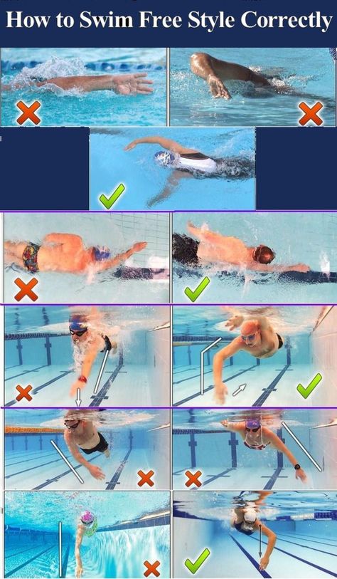 Swimming Technique, Swim Technique, Swimming Drills, Swim Workouts, Swimming Workouts, Swimming Strokes, Trening Sztuk Walki, Swimmers Life, Fitness Hacks