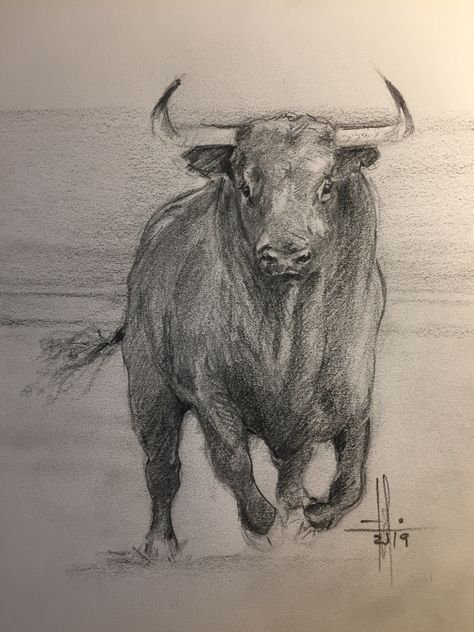 Bull Drawing Taurus, Bull Sketch, Bull Drawing, Cow Sketch, Dinosaur Sketch, Bull Painting, Bull Art, Bull Tattoos, Pencil Drawings Of Animals