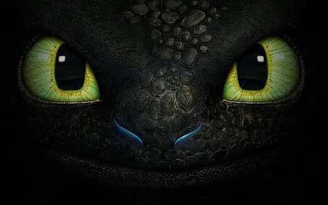 How to Train Your Dragon 2 Wallpaper HD Collection Flower Drawing Tumblr, Cool Wallpapers For Laptop, Cool Wallpapers For Computer, Dragon Wallpapers, Toothless Wallpaper, Cool Wallpapers For Pc, Desktop Wallpaper Black, 1366x768 Wallpaper, Computer Wallpaper Hd