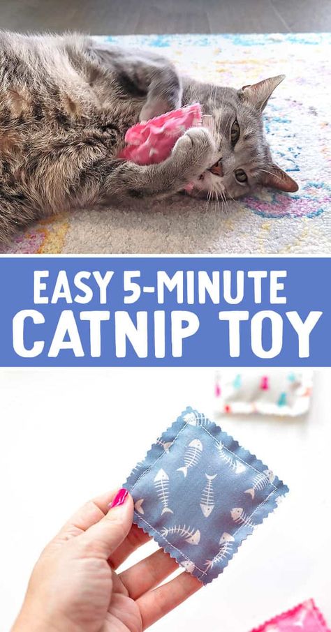 Making Cat Toys Ideas, How To Sew Cat Toys, Cat Sewing Ideas, Diy Cat Toys To Sell, Sewing Projects For Cats, How To Make Cat Toys, Home Made Cat Toys Ideas, Things To Make For Cats, Sewing For Cats