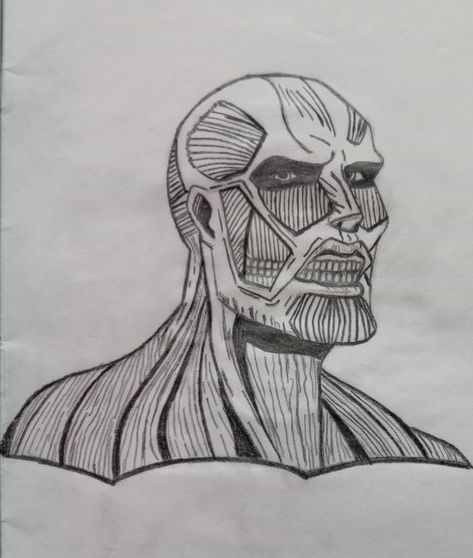 Warhammer Titan Drawing, Aot Anime Drawings Easy, Collosal Titan Drawing, Colossal Titan Drawing, Eren Titan Sketch, Attack On Titan Drawings, Titan Sketch, Attack On Titan Drawing, Titan Drawing