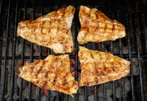 Grilled Walleye Recipes, Grilled Walleye, Grill Chicken Breast, Key West Chicken, How To Grill Chicken, Walleye Recipes, Cuban Pork, Walleye Fish Recipes, Grilled Chicken Tenders