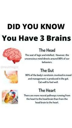 Biology Facts, Brain Facts, Healthy Brain, Medical Knowledge, Health Knowledge, Good Health Tips, Natural Health Remedies, Croquettes, Mental And Emotional Health