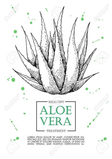 Aloe Vera Tattoo, Succulent Theme, Template For Business, Flower Art Painting, Mexican Art, Pencil Art, Brochure Template, Ink Drawing, Aloe Vera