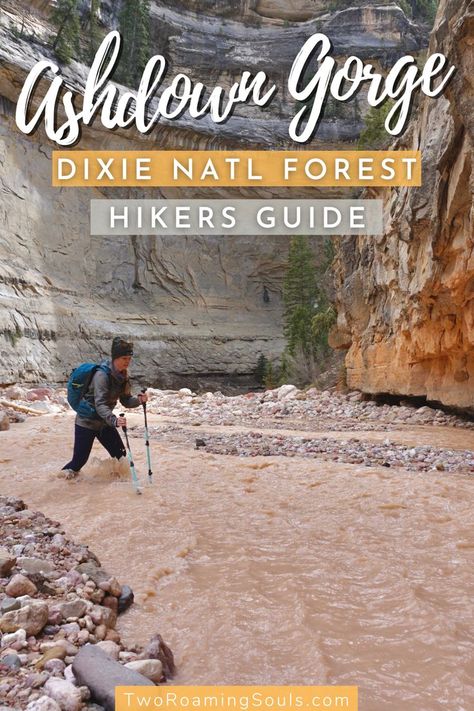 Utah Hikes, Southern Utah, Best Hikes, National Forest, Utah, National Parks, Hiking, Forest, Travel