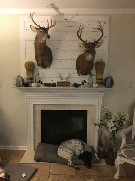 Wildlife Living Room Decor, Living Room Decor Deer Mounts, Bedroom With Deer Mounts, Hunters Home Decor, Mantel Decorating Ideas With Deer Mount, Deer Head In Living Room, Farmhouse Decor With Deer Mount, Farmhouse Living Room With Deer Mounts, Deer Head Above Fireplace