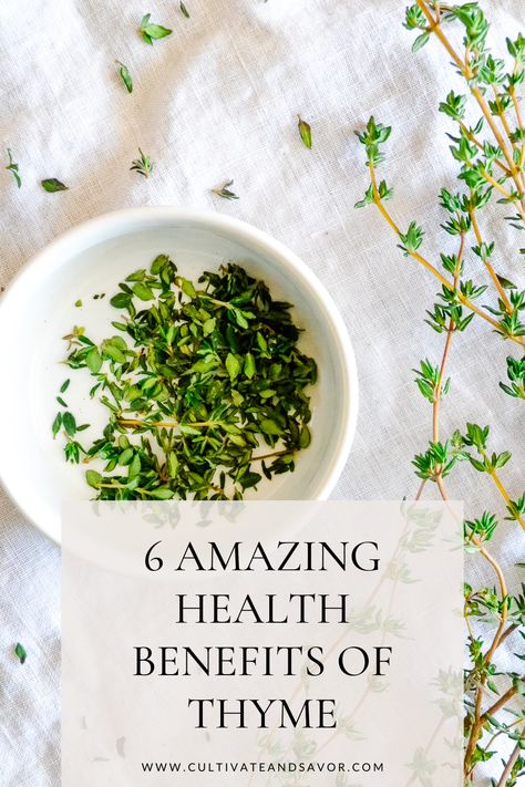 Thyme is a common kitchen herb that provides some powerful health benefits. Get to know more about the health benefits of thyme and some easy ways to use this herb. Lemon Thyme Benefits, Thyme Tea Benefits, Benefits Of Thyme, Health Benefits Of Thyme, Thyme Benefits, Thyme Uses, Thyme Tea, Thyme Herb, Kitchen Herbs