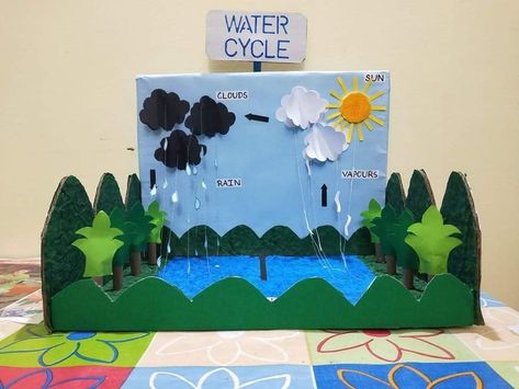 Science Art Projects, School Science Projects, The Water Cycle, Plant Activities, Science Crafts, Science Projects For Kids, Water Cycle, Science Fair Projects, Creative Activities For Kids