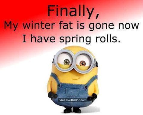 Finally My Winter Fat Is Gone Now I Have Spring Rolls spring funny quotes minion spring quotes happy spring happy spring quotes hello spring goodbye winter first day of spring minion quotes hello spring quotes first day of spring quotes Happy Day Funny, Spring Funny Quotes, Hello Spring Quotes, Minion Stuff, Hot Banana, Minion Meme, Spring Funny, Minions Humor, Funny Minion Pictures