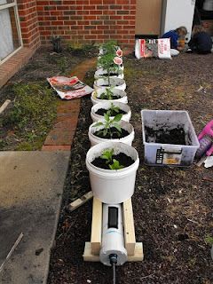 Gardening In Five Gallon Buckets, Wicking Buckets, Bucket Gardens, Self Watering Garden, Watering Raised Garden Beds, Raised Garden Beds Diy Vegetables, Bucket Garden, Allotment Ideas, Watering Garden