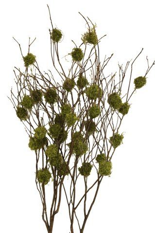 S/4 Mountain-Laurel Branches, Dried $119.00 House Greenery, Flowers For Table, Tree Branch Centerpieces, Fireplace Mantle Ideas, Flower List, Pinecone Decor, Laurel Branch, Woodland Bedroom, Faux Branches