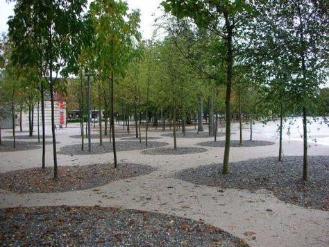 Bregenz Opera House - Grove of Trees Landscape Architecture Park, Tree Grove, Canopy Bedroom, Backyard Canopy, Wedding Canopy, Urban Forest, Garden Canopy, Patio Canopy, Canopy Design