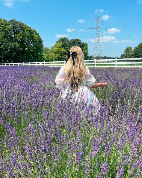 Lavender Farm Photoshoot, Farm Women, South Bend Indiana, Lavender Haze, Lavender Field, Lavender Farm, Senior Photoshoot, Portrait Photography Poses, Lavender Fields