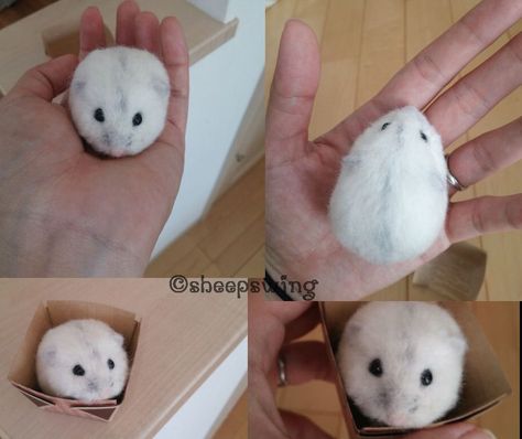 Needle felted hamster by sheeps-wing on DeviantArt Felted Hamster, Felted Creatures, Needle Felting Diy, Needle Felting Tutorials, Needle Felting Projects, Cute Hamsters, Felting Tutorials, Felt Brooch, Animal Control