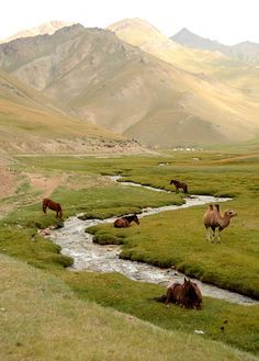 Stream passing through the valley, Tash Rabat, Kyrgyzstan Tash Rabat, Kyrgyzstan Travel, Belle Nature, Silk Road, Bhutan, Central Asia, Land Art, The Grass, Mongolia