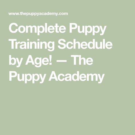 Complete Puppy Training Schedule by Age! — The Puppy Academy 10 Week Old Puppy Schedule, Puppy Training Schedule By Age, Kennel Training A Puppy, Crate Training Puppy Schedule, Puppy Schedule, Puppy Training Schedule, Crate Training Puppy, Puppy Crate, What Kind Of Dog