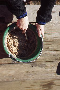 An occasional bran mash is a tasty treat for your horse. Here's how to make a sugar-free apple mash and sweet celery soup. Mash Recipes, Homemade Horse Treats, Horse Nutrition, Horse Lessons, Mash Recipe, Horse Care Tips, Horse Feed, Horse Treats, Horse Tips