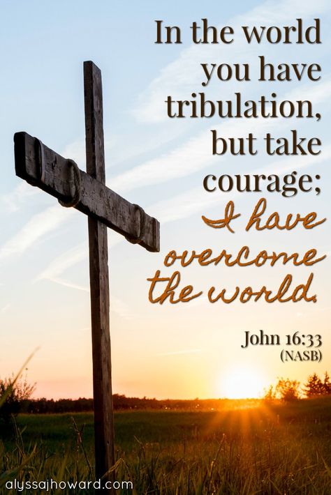 In the world you have tribulation, but take courage; I have overcome the world. - John 16:33 (NASB) Victory In Jesus, I Have Overcome The World, Spiritual Battle, Hebrew Israelite, Beautiful Scripture, Overcome The World, Beautiful Bible Verses, Christian Love, Class Notes