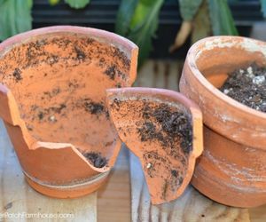 s check out these adorable container garden ideas to copy this spring Organic Garden, Container Garden, Wood Glue, Clay Pots, Container Gardening, Dollar Stores, Potted Plants, Garden Ideas, Cookies Et Biscuits