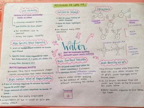 Biology Water Notes, Alevel Biology, School Aestethic, Organization Notes, Chemistry Notes, Medical School Essentials, School Organization Notes, Print Planner, Biology Notes