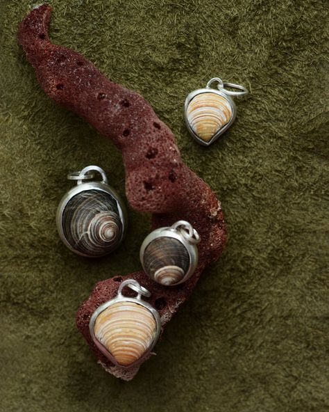 Ready To Ship — Jewelry — Dunton Ellerkamp Dunton Ellerkamp, Crescent Ring, Green Stone Pendant, Fossil Hunting, Portfolio Ideas, Ocean Jewelry, Coral Earrings, Lost Wax Casting, Tourmaline Ring