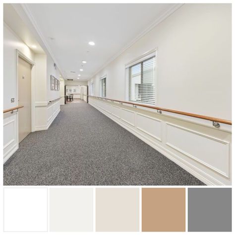 Hospital Color Scheme, Hospital Colour Palette, Hospital Mood Board, Aged Care Interior Design, Hospital Color Palette, Medical Color Palette, Colour Palette Illustration, Hospital Interiors, Palette Illustration