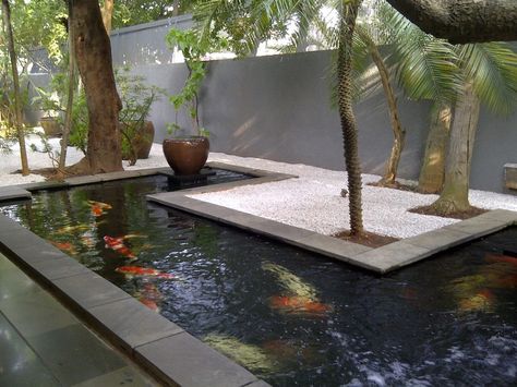 Modern Pond, Koi Pond Backyard, Koi Pond Design, Indoor Pond, Kolam Koi, Garden Pond Design, Outdoor Ponds, Small Water Features, Small Pond