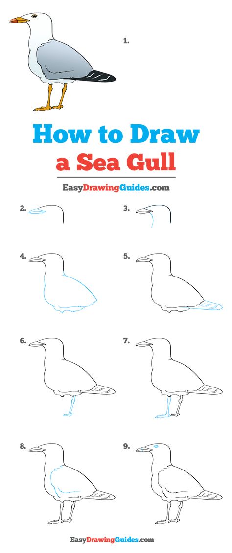 How to Draw a Seagull - Really Easy Drawing Tutorial How To Draw A Seagull Step By Step, Easy Seagull Drawing, Seagull Painting Easy, How To Draw A Seagull, Seaside Drawing, Seagull Sketch, Seagull Drawing, Seagull Illustration, North American Birds