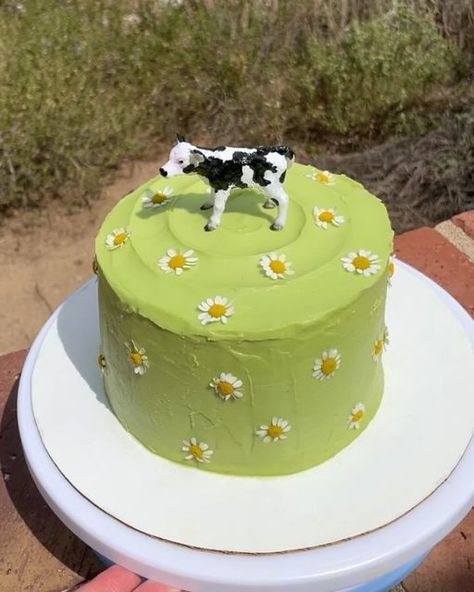 Andrea on Instagram: "A cute little cow cake for a cute little two year old. Happy birthday Phae 🐄🌼

Lemon cake and matcha icing, chamomile flowers." Matcha Icing, Cute Cow Cake, Cow Themed Cake, Cow Birthday Cake, Cow Cake, Cow Cakes, Cow Birthday, Chamomile Flowers, Lemon Cake