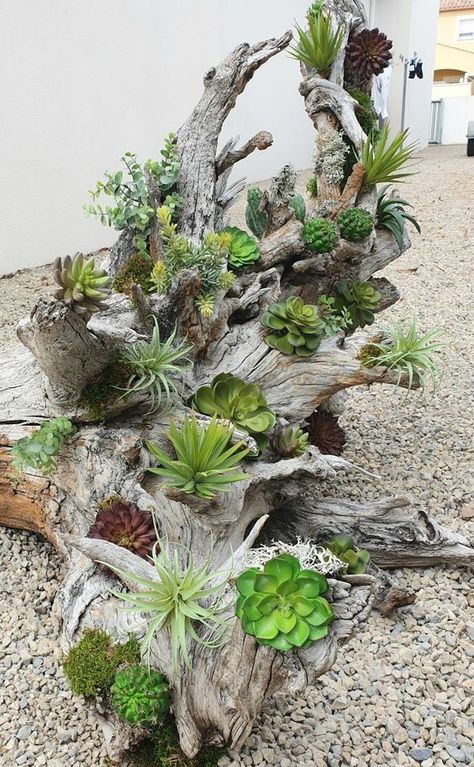 Log Decor Ideas, Takken Decor, Log Decor, Succulent Garden Landscape, Succulent Planter Diy, Succulent Garden Design, Succulent Garden Diy, Wooden Log, Rock Garden Landscaping