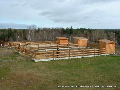 Show Cattle Barn, Horse Turnout, Horse Pens, Horse Farm Ideas, Horse Paddock, Barn Hacks, Cattle Barn, Horse Barn Ideas Stables, Barn Stalls