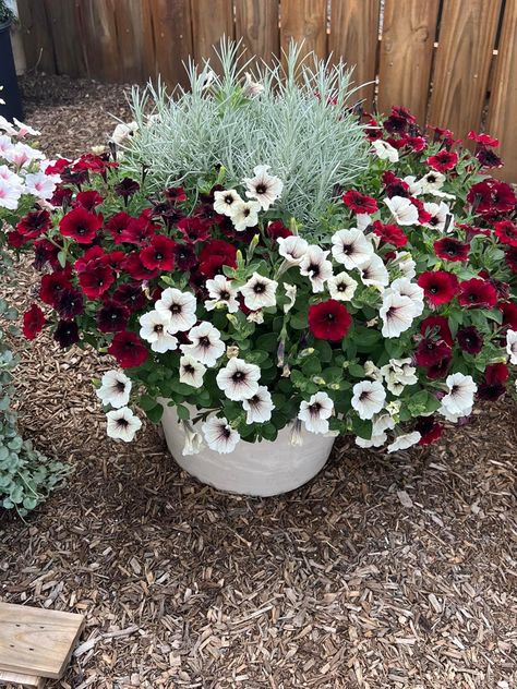 Red Flower Pot Ideas, Potted Plants Patio, Front Porch Flowers, Patio Flowers, Porch Flowers, Container Garden Design, Potted Plants Outdoor, Container Gardening Flowers, Flower Pots Outdoor