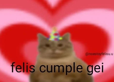 Silly Happy Birthday, Stickers Random, Party Cat, Spanish Memes, Cat Party, Cute Memes, Funny Reaction Pictures, Meme Faces, Really Funny Pictures