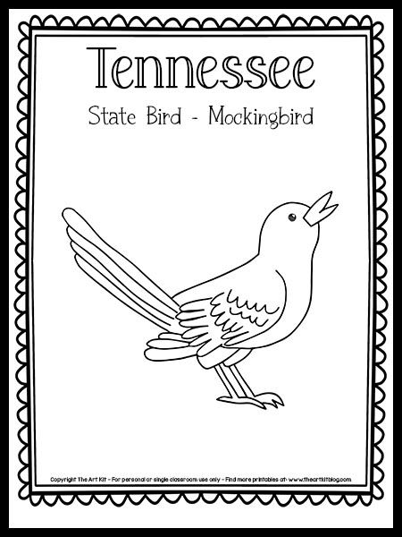 Tennessee State Bird Coloring Page (Mockingbird) {FREE Printable!} - The Art Kit Texas Mockingbird, Tennessee Crafts, Bird Coloring Page, Birds For Kids, Texas Crafts, Mocking Bird, Bird Coloring, The 50 States, Arkansas State University