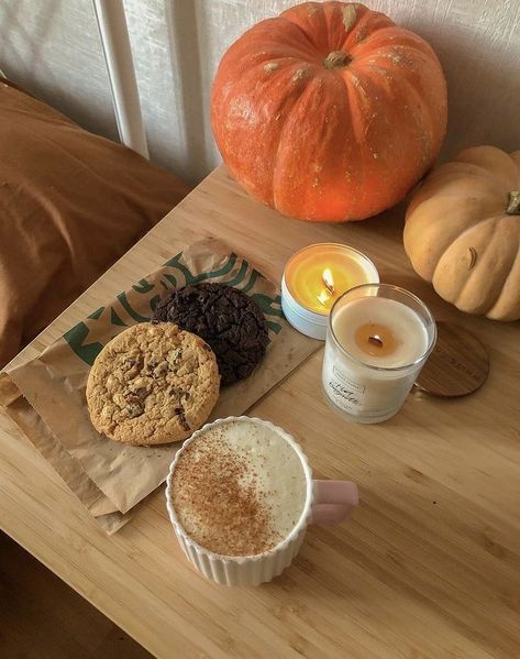 Studera Motivation, Fall Bucket List, Pumpkin Spice Season, Fall Inspo, Fall Feels, Autumn Cozy, Autumn Aesthetic, Pumpkin Spice Latte, Girl Falling