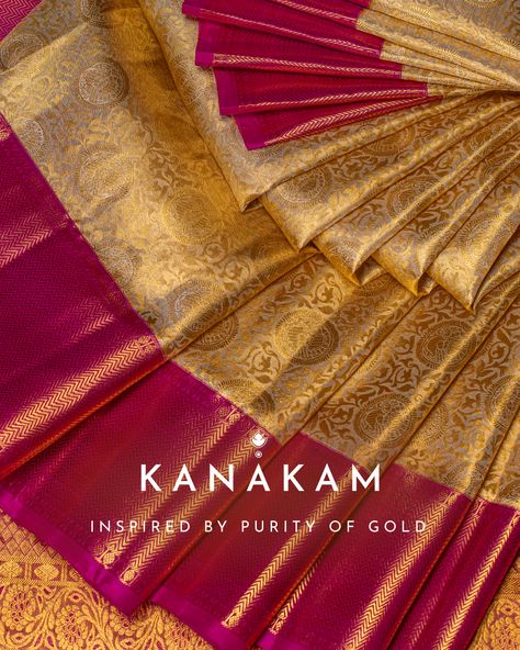 Kanchipuram Bridal Sarees Weddings, Golden Kanjivaram Saree, Golden Kanjeevaram Saree, Gold Pattu Saree, Paithani Pattu Sarees, Golden Silk Saree, Gold Zari Saree, Kanchipuram Silk Saree Wedding, Pattu Sarees Wedding