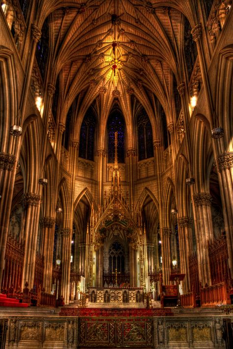 St Patricks Cathedral Nyc, York Cathedral, Medieval Aesthetics, St Patrick's Cathedral, Beautiful Churches, Cathedral Architecture, Take Me To Church, Historical Places, Cathedral Church