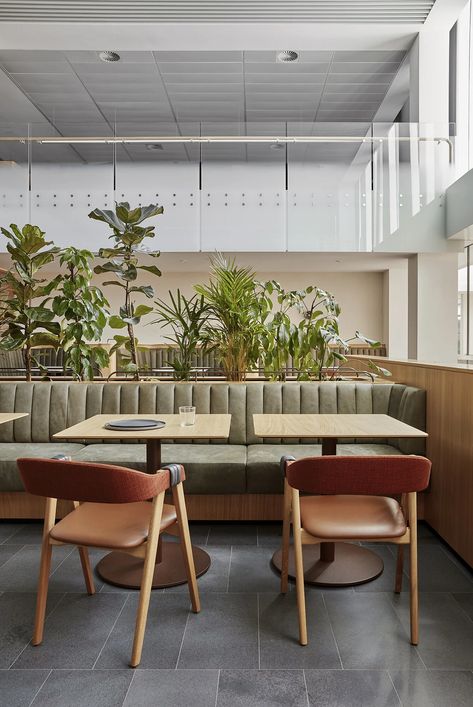 MinRes HQ by Milieu Creative | Australian Interior Design Awards Aeron Chair, Botanical Interior, Mim Design, Cafe Pictures, Restaurant Seating, Australian Interior Design, Stools For Kitchen Island, Banquette Seating, Tables And Chairs