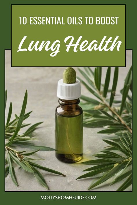 Discover the healing power of essential oils for lungs with these best essential oils. Combat congestion, infection, and inflammation in your respiratory system naturally. Support lung detox and overall respiratory health with these natural remedies. Whether you're looking to boost lung healing or seeking herbs for bronchitis relief, incorporate these essential oils into your wellness routine for a breath of fresh air. Vitamins For Lung Health, Essential Oil For Respiratory, Essential Oils For Bronchitis Diffuser, Natural Lung Healing, Essential Oils For Lung Health, Respiratory Health Natural Remedies, Lung Health Remedies, Chest Congestion Remedies Lungs, Essential Oils For Phlegm