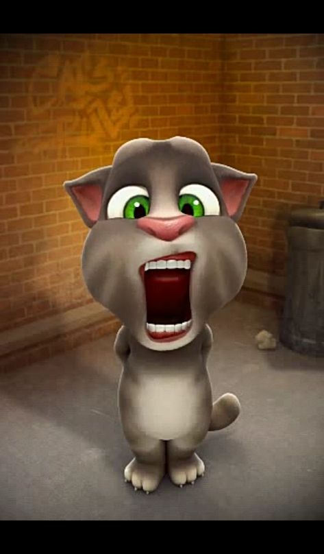 Talking Tom Big Mouth 2 Cat Big Mouth, Talking Tom Cat 2, Big Pitbull, Tom Meme, Talking Tom Cat, Dinosaur Age, Tom Cat, Disney Trip Planning, Cat Talk