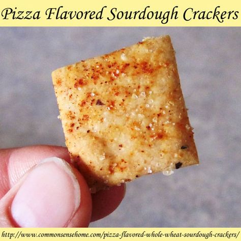 Pizza Flavored Whole Wheat Sourdough Crackers @ Common Sense Homesteading Crackers Homemade, Sourdough Cookies, Cracker Flavors, Sourdough Crackers, Whole Wheat Sourdough, Cheddar Crackers, Sourdough Starter Discard Recipe, Baked Crackers, Discard Recipes