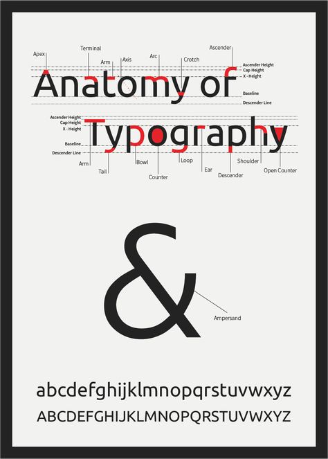 Crazy Typography Design, Scientific Typography, Typography Anatomy Poster, Type Anatomy Poster, Typography Terminology, Typeface Anatomy, Typeface Booklet, Typography Anatomy, Font Anatomy