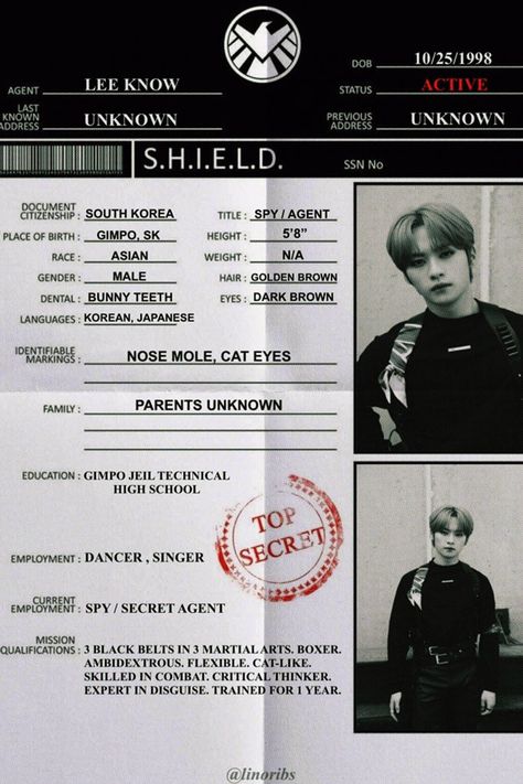 Kpop Introduction Template, Kpop Album Cover Stray Kids, Photocard Freebies, Marvel Shield, Male Gender, Document Printing, Paper Toys Template, Stray Kids Chan, School Tops